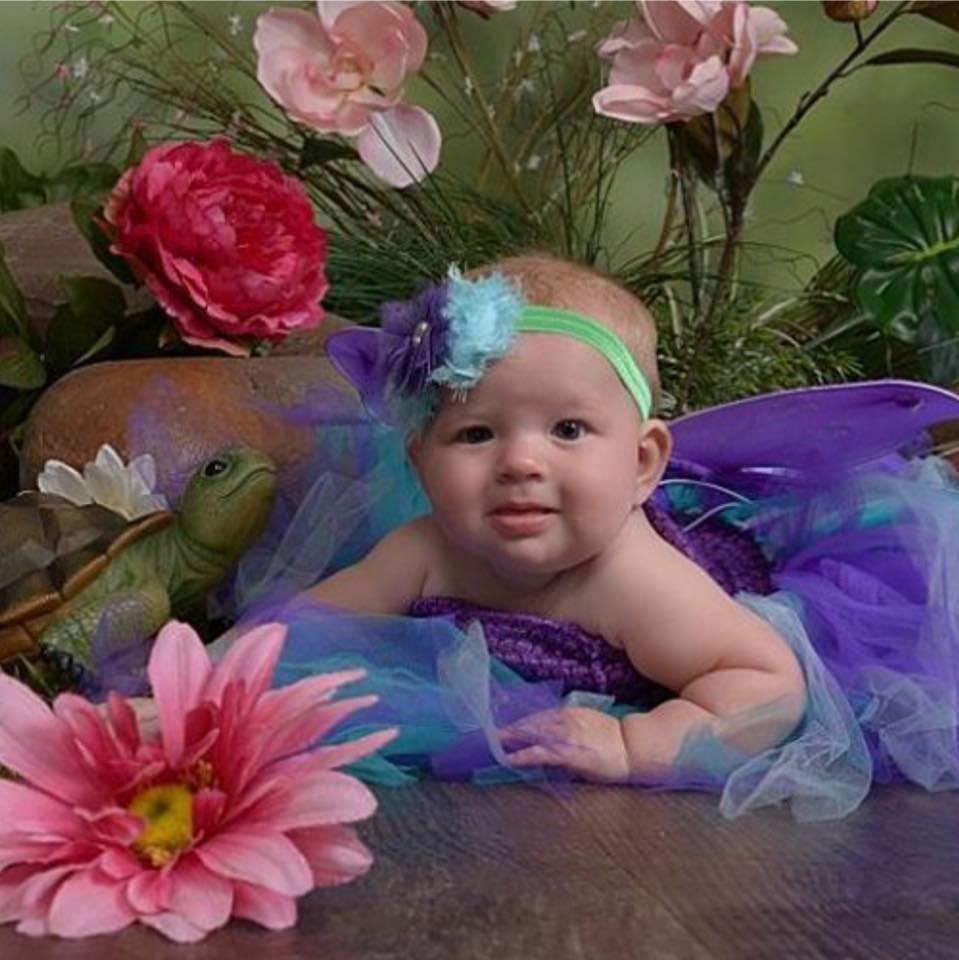 Jazmine surrounded by bright flowers